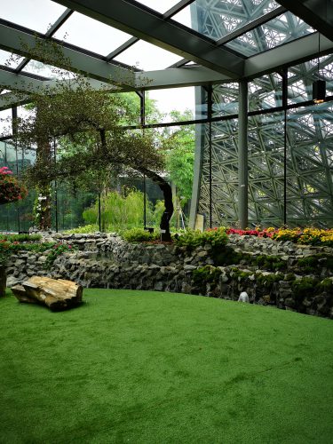 Floral Fantasy – Gardens by the Bay
