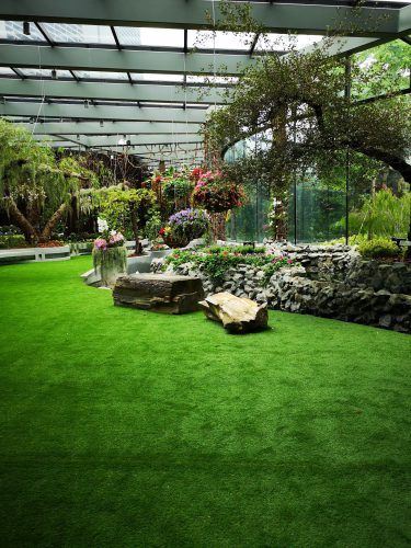 Floral Fantasy – Gardens by the Bay