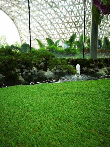 Floral Fantasy – Gardens by the Bay