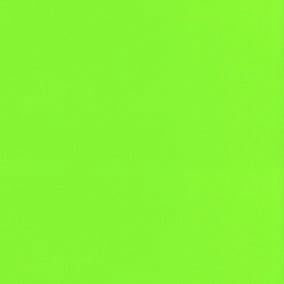 EXPOflor- Lime Green 197